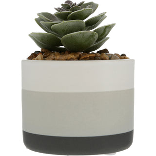 Will Succ Artificial Potted Plant