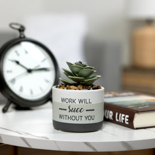 Will Succ Artificial Potted Plant