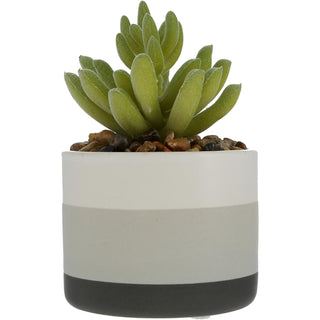 Succ-sess Artificial Potted Plant