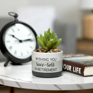 Succ-sess Artificial Potted Plant