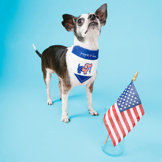 USA 7" x 5" Canvas Slip on Pet Bandana