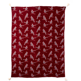 Cardinals 50" x 60" Knit Blanket