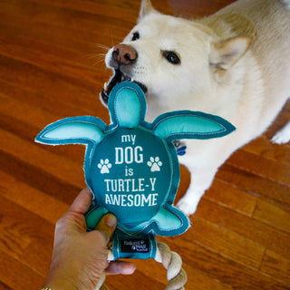 Turtle-y Awesome 9" Canvas Dog Toy on Rope