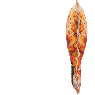 Drumstick 7" Canvas Dog