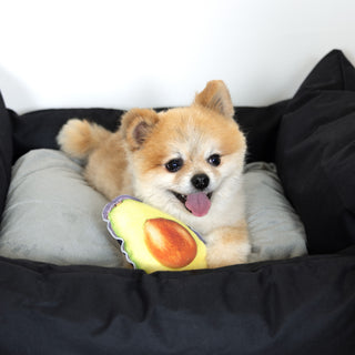 Avocado 6.5" Canvas Dog Toy