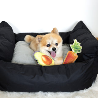 Avocado 6.5" Canvas Dog Toy