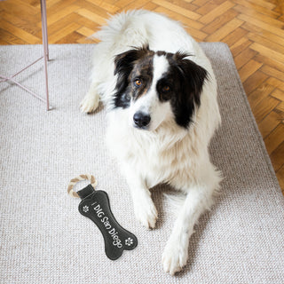 San Diego 12" Canvas Dog Toy with Rope