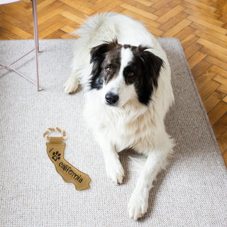 California 12" Canvas Dog Toy with Rope