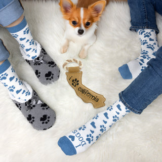 California 12" Canvas Dog Toy with Rope