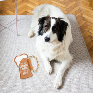 Dog Is Home 9" Canvas Dog Toy on Rope