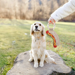Hot Dog 12.75" Canvas Dog Toy on Rope