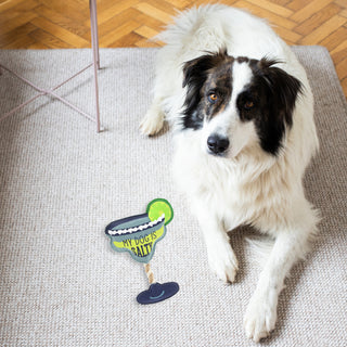 Salty 12" Canvas Dog Toy on Rope