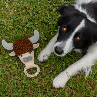Herd 11" Canvas Dog Toy on Rope