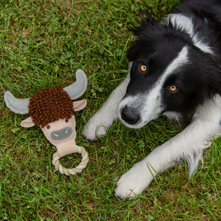 Herd 11" Canvas Dog Toy on Rope