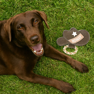 Howdy 11" x 8.5" Canvas Dog Toy on Rope