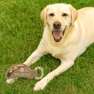 Tacos 12" Canvas Dog Toy on Rope