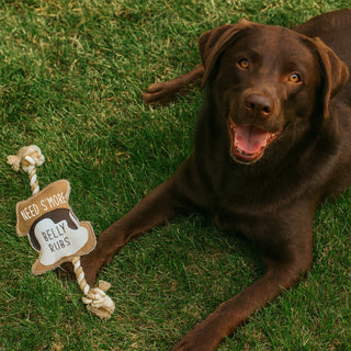 S'more 14.75" Canvas Dog Toy on Rope