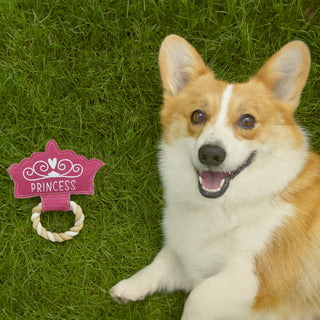 Princess 8.25" Canvas Dog Toy on Rope