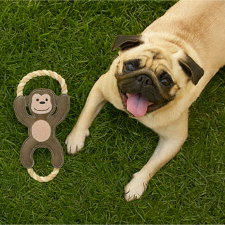 Wild 14" Canvas Dog Toy on Rope