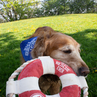 Best Rescue Ever 10" Canvas Dog Toy on Rope