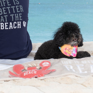 Beach Dog 10.75" x 8" Canvas Dog Toy on Rope