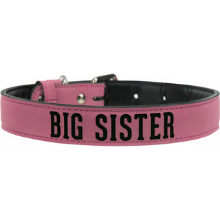 M/L Big Sister 21" PU Leather Pet Collar