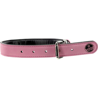 M/L Big Sister 21" PU Leather Pet Collar