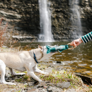 River Dog 12" Canvas Dog Toy on Rope