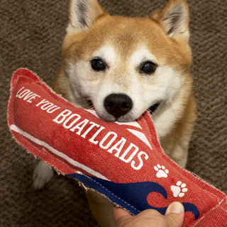 Boatloads 13" x 5" Canvas Dog Toy on Rope