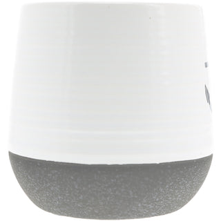 Anchor 11 oz - 100% Soy Wax Reveal Candle Scent: Serenity