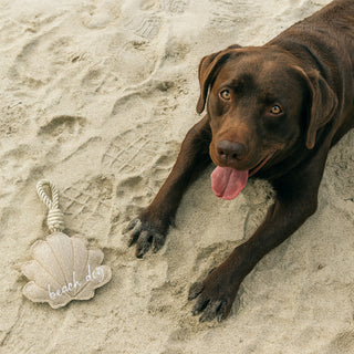 Beach Dog 11" Dog Toy on Rope