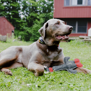 Duck, Duck, Woof 14.5" Canvas Dog Toy on Rope