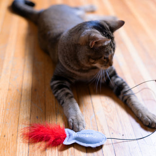 Fish 18" Cat Teaser Wand