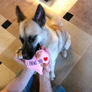 I Chews You Canvas Dog Toy on a Rope