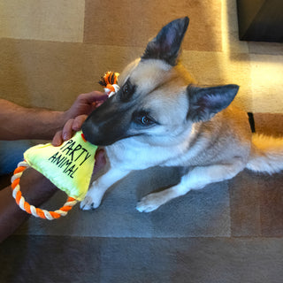 Party Animal Canvas Dog Toy on a Rope