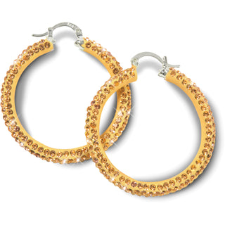 Crystal Crystal Hoop Earrings