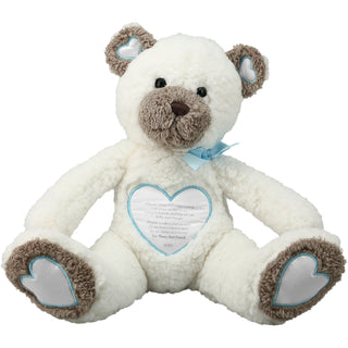 Baby Boy 16" Comfort Bear