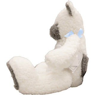 Baby Boy 16" Comfort Bear