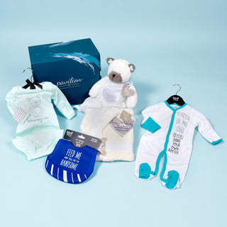 Baby Boy Gift Box $120.00 Value