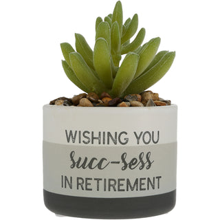 Succ-sess Artificial Potted Plant