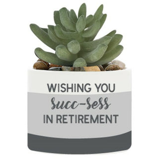 Succ-sess Artificial Potted Plant