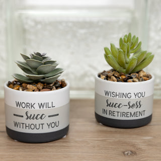 Succ-sess Artificial Potted Plant