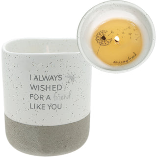 Friend Like You 10 oz - 100% Soy Wax Reveal Candle
Scent: Tranquility