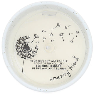 Friend Like You 10 oz - 100% Soy Wax Reveal Candle
Scent: Tranquility