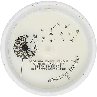 Teacher Like You 10 oz - 100% Soy Wax Reveal Candle
Scent: Tranquility