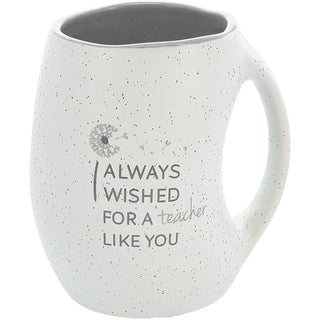 Teacher Like You 16 oz Mug