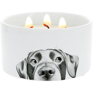 Dog 10 oz - 100% Soy Wax Reveal Triple Wick Candle Scent: Tranquility