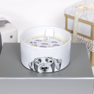 Dog 10 oz - 100% Soy Wax Reveal Triple Wick Candle Scent: Tranquility