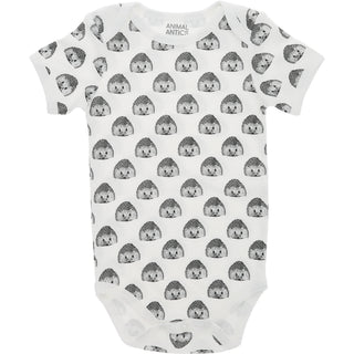 Hedgehogs 0-6 Months Bodysuit