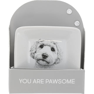 Pawsome 2.5" Trinket Dish & 5mm Cubic Zirconia Stud Earring Set